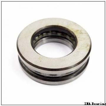INA BCH58P needle roller bearings